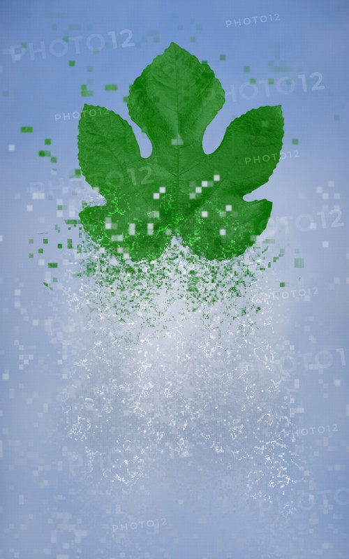 Pixelated leaf dissolving in sky