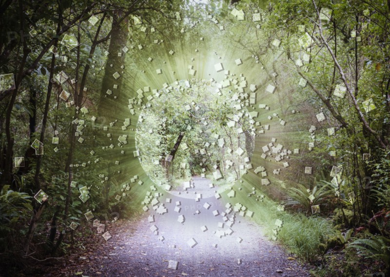 Digital globe exploding in forest