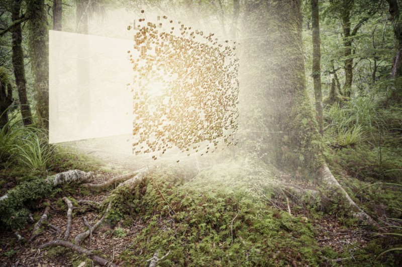 Digital cube exploding in forest