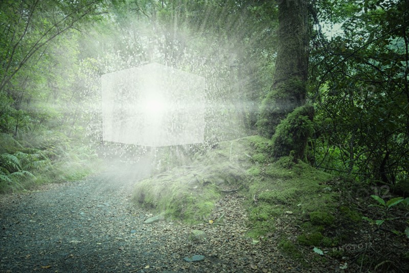 Digital cube exploding in forest