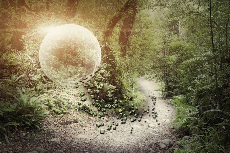 Globe glowing in forest