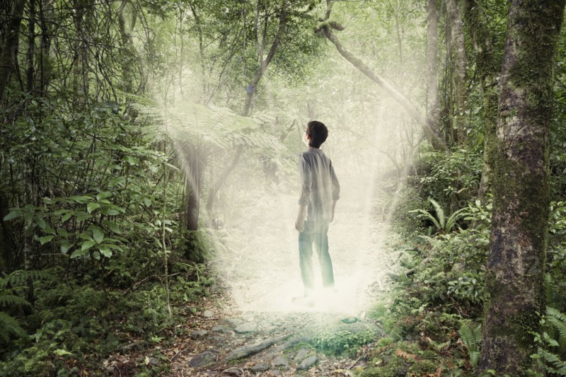 Mixed race boy standing in forest portal