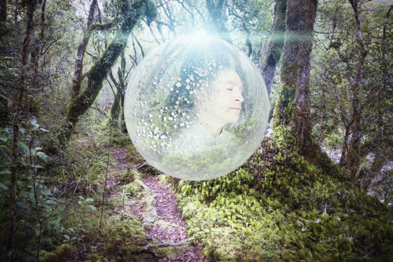 Caucasian man in glowing orb in forest