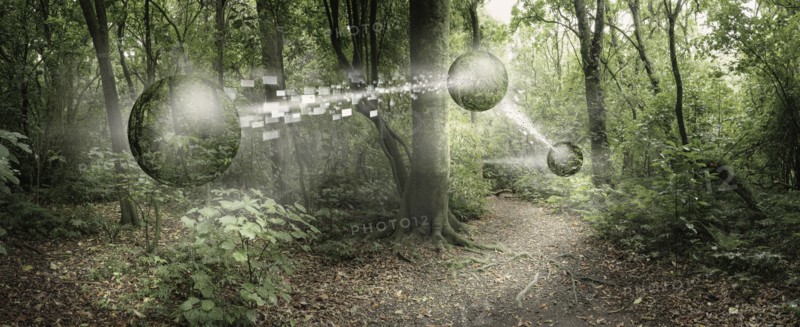 Orbs passing pixelated information in remote forest