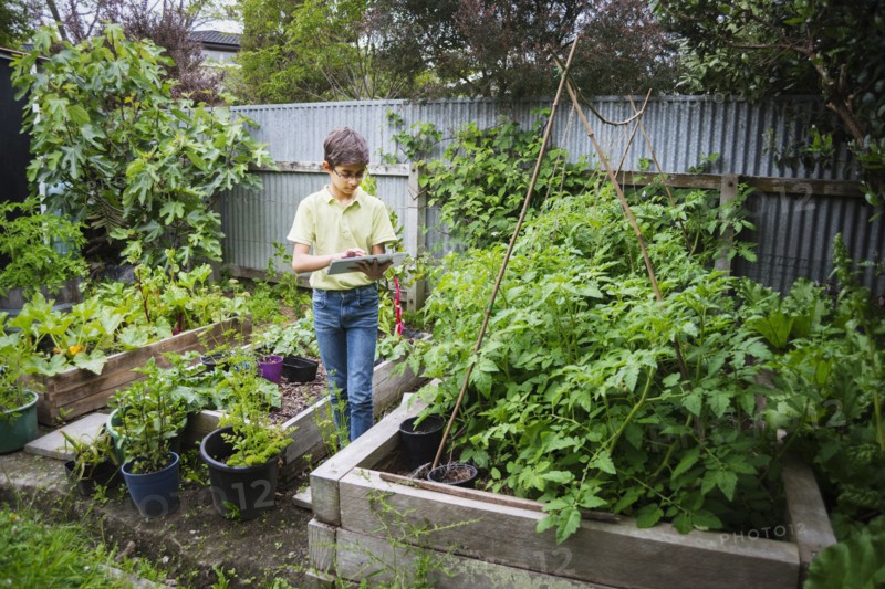 Mixed race boy using digital tablet in garden
