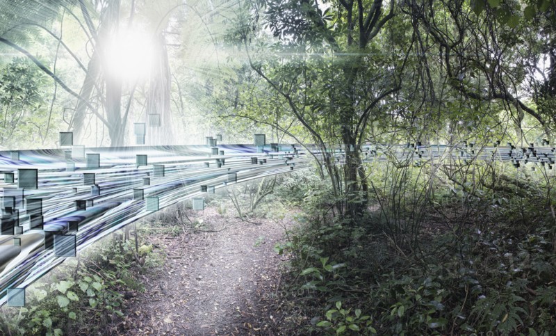 Pixelated data stream in forest