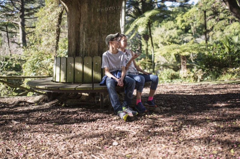 Mixed Race brother and sister sitting on bench at tree