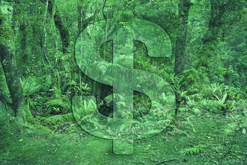 Dollar sign on green forest