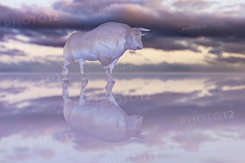 Reflection of glass bull under clouds