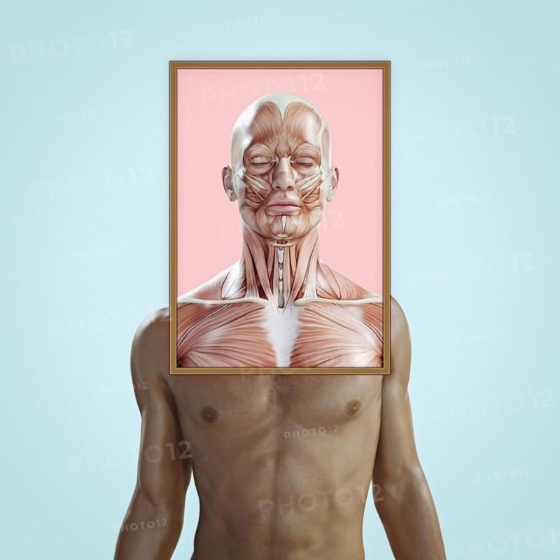 Face and chest muscles of man