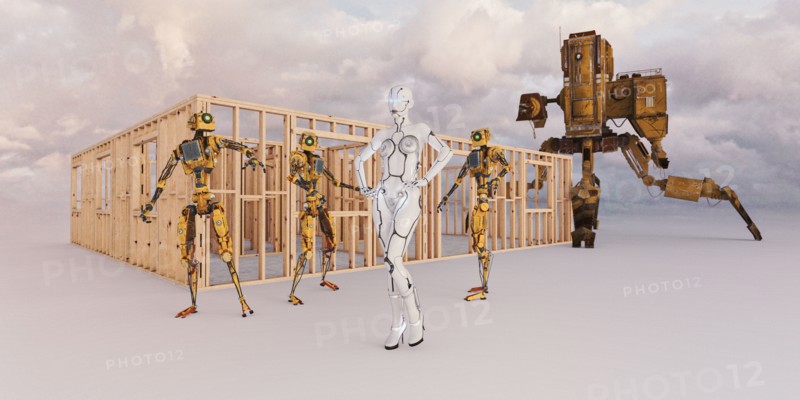 Robot construction workers distracted by a woman robot