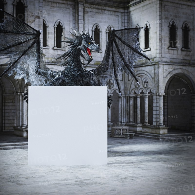 Dragon spreading wings behind blank sign