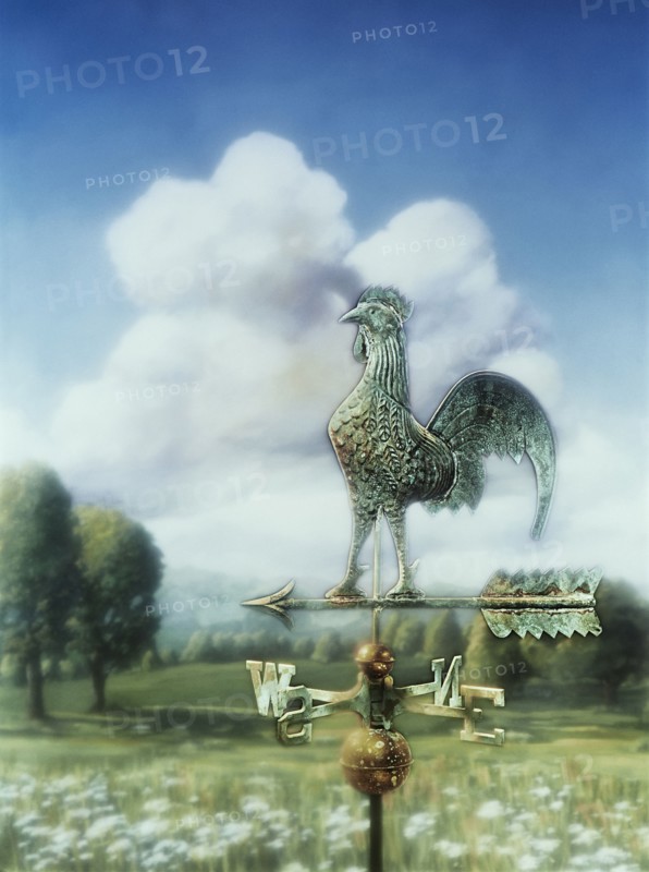Weathervane in rural landscape