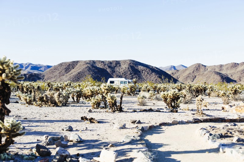 Path through field in desert landscape