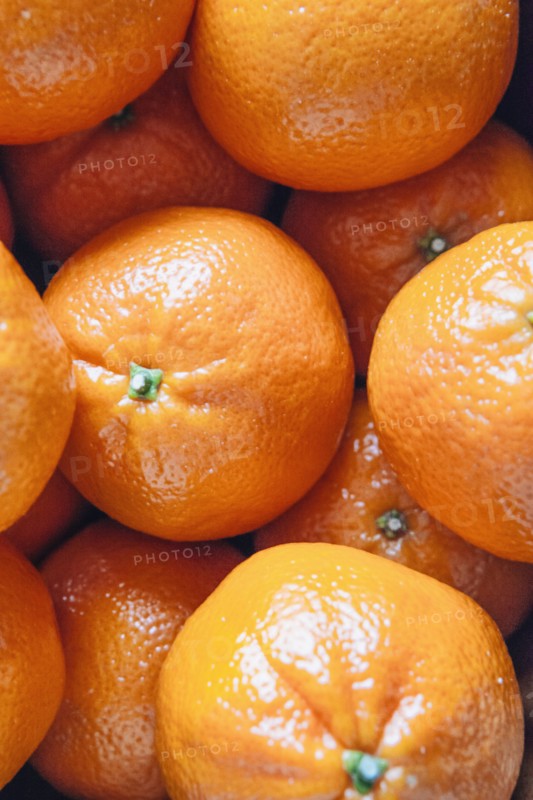 Close up of pile of oranges