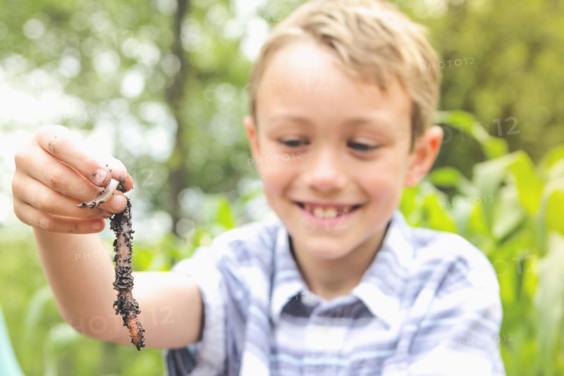 Caucasian boy examining worm
