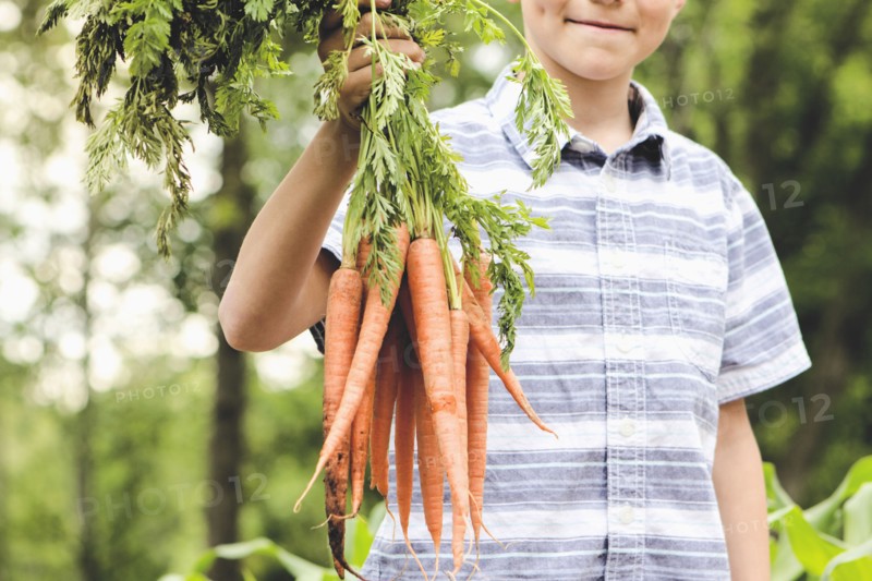 Caucasian boy holding carrots in garden