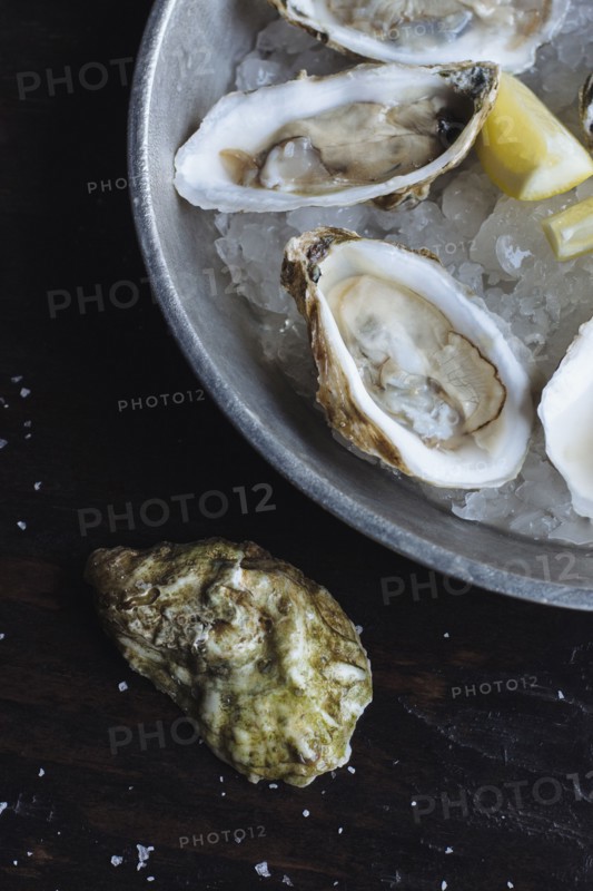 Close up of oysters and lemon on ice