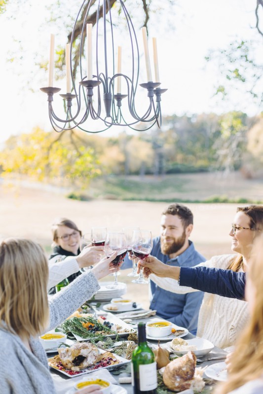 Friends toasting with wine at outdoor table