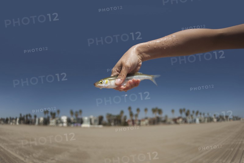 Woman holding live
