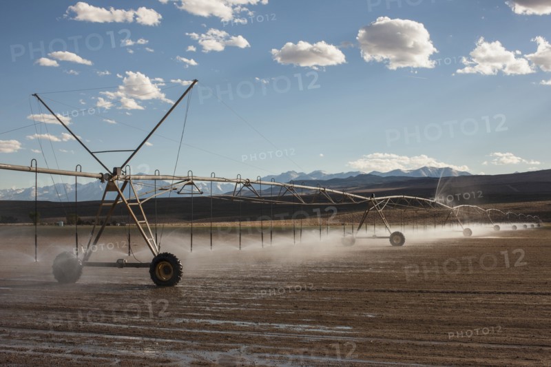 Irrigation sprinklers watering field