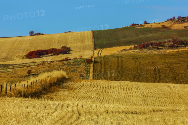 Rural landscape