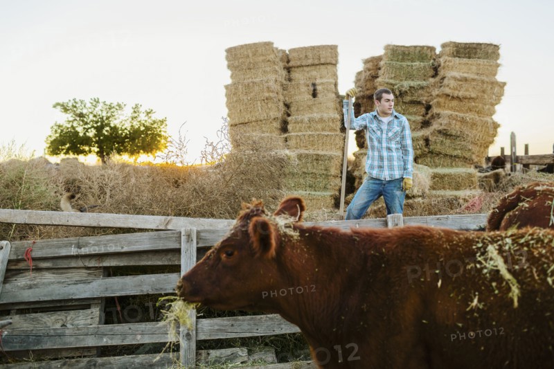 Caucasian man working on farm