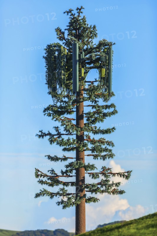 Cell tower disguised as tree under blue sky