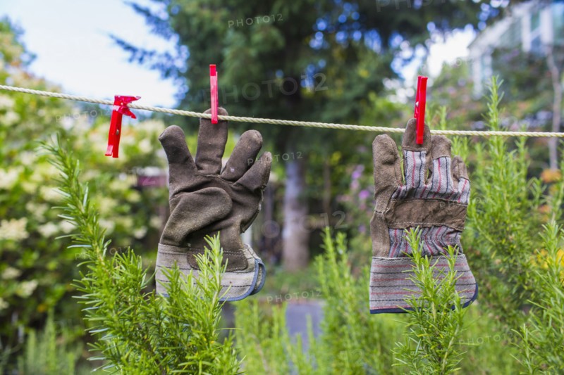 Gardening gloves drying on clothesline in backyard