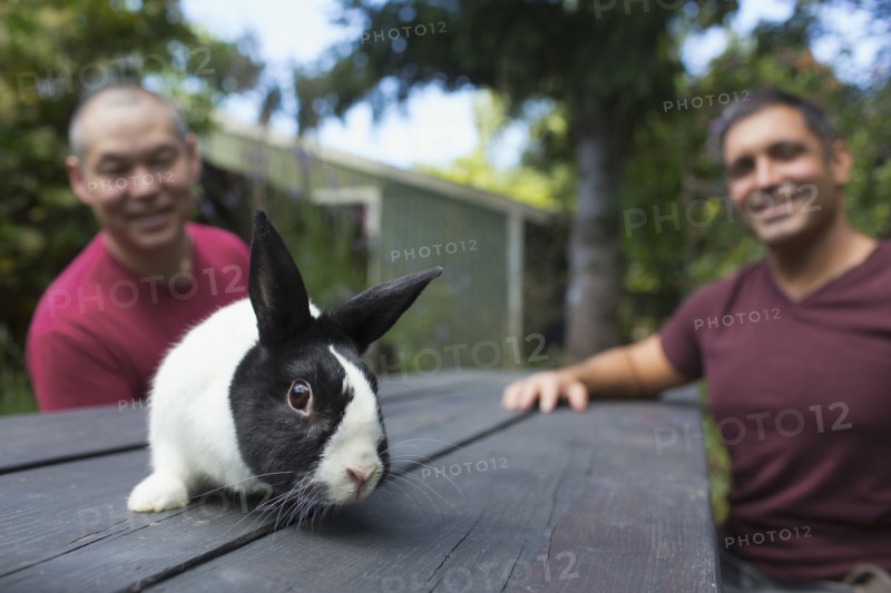 Mixed race men with rabbit on picnic table