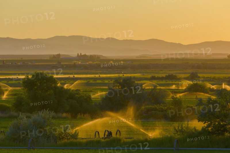 Sprinklers watering rural farmland