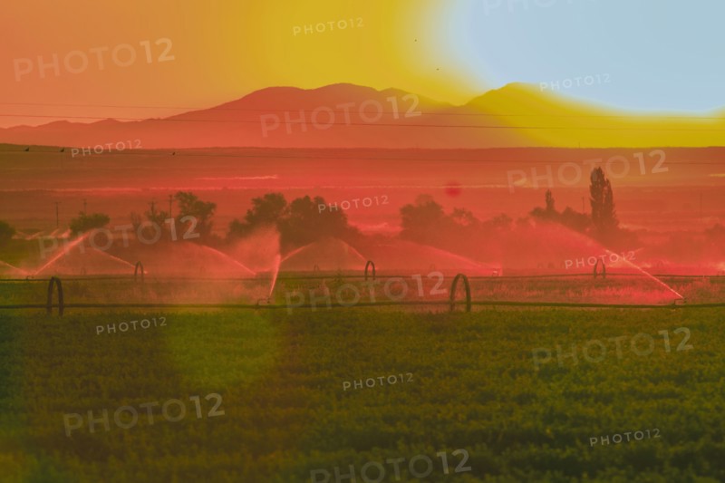Sprinklers watering rural farmland