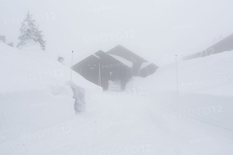 Snow drifts near driveway and house