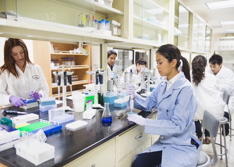 Scientists working in laboratory