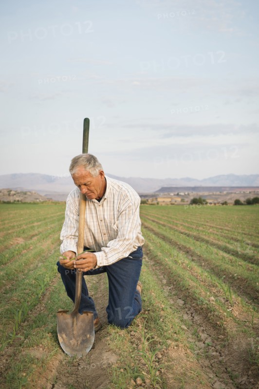 Caucasian farmer planting seeds in crop field