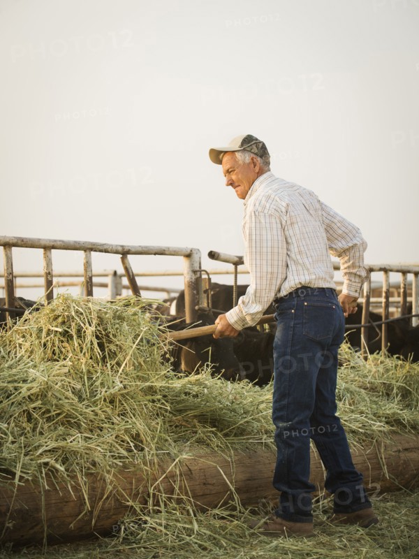 Caucasian farmer forking hay