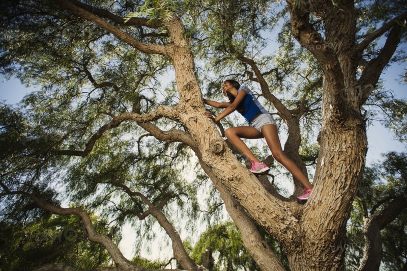 Low angle view of mixed race girl climbing tree