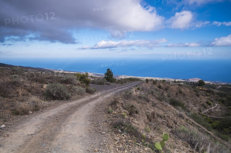 Dirt path near ocean