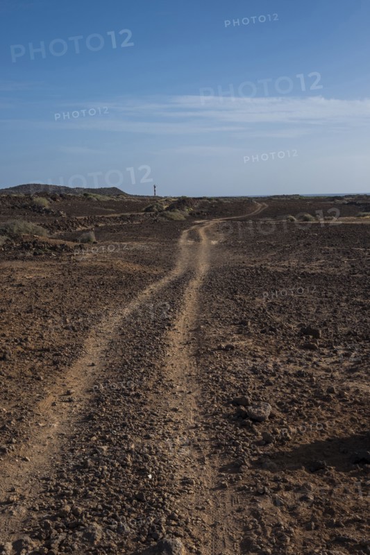 Distant winding tracks in dirt field