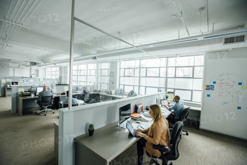 Business people working in busy office