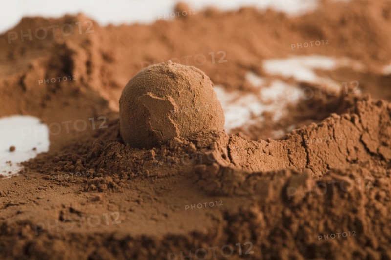 Chocolate ball in cocoa powder