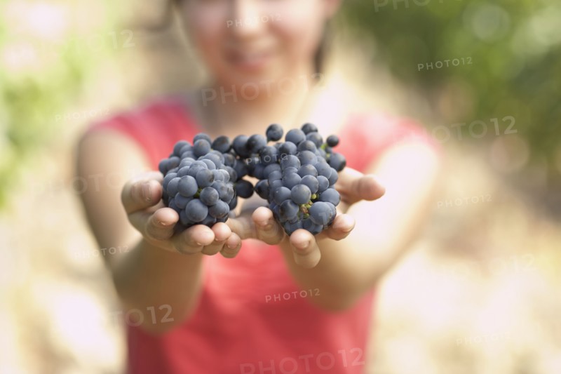 Hispanic woman holding two bunches or red grapes