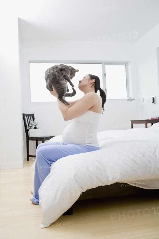 Pregnant Asian woman holding cat