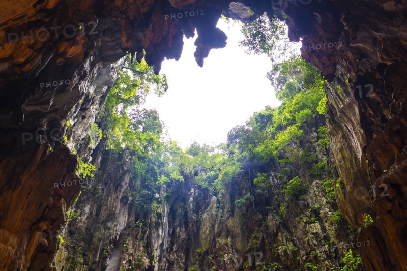 Cave opening in jungle landscape