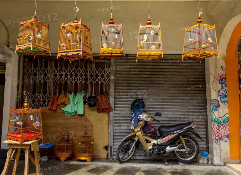 Motorcycle parked outside birdcage shop