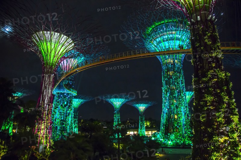 Electric supertrees lit up at night