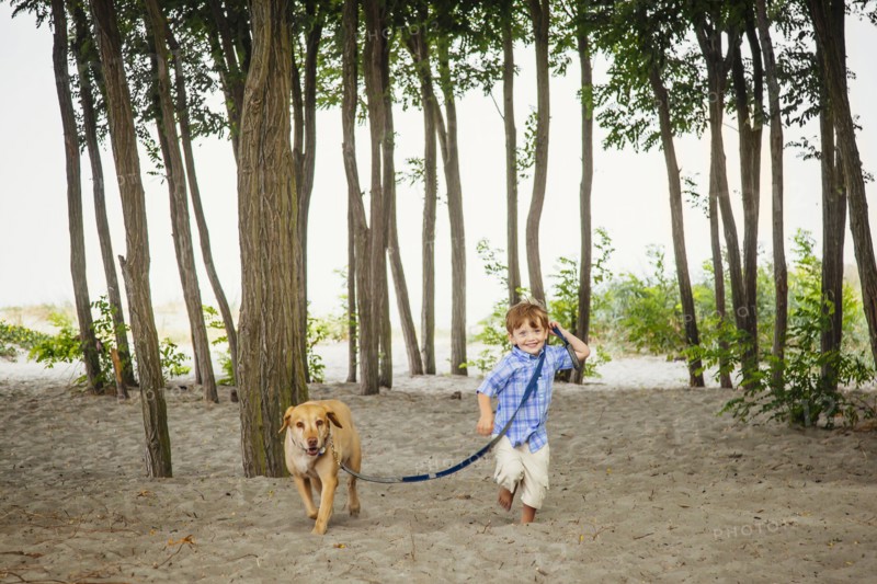 Boy walking dog on wooded beach