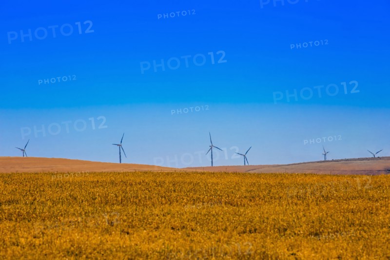 Wind turbines in rural landscape