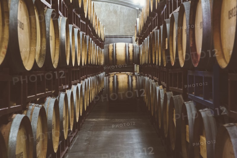 Wine barrels aging