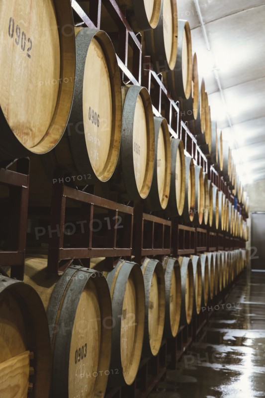 Wine barrels aging